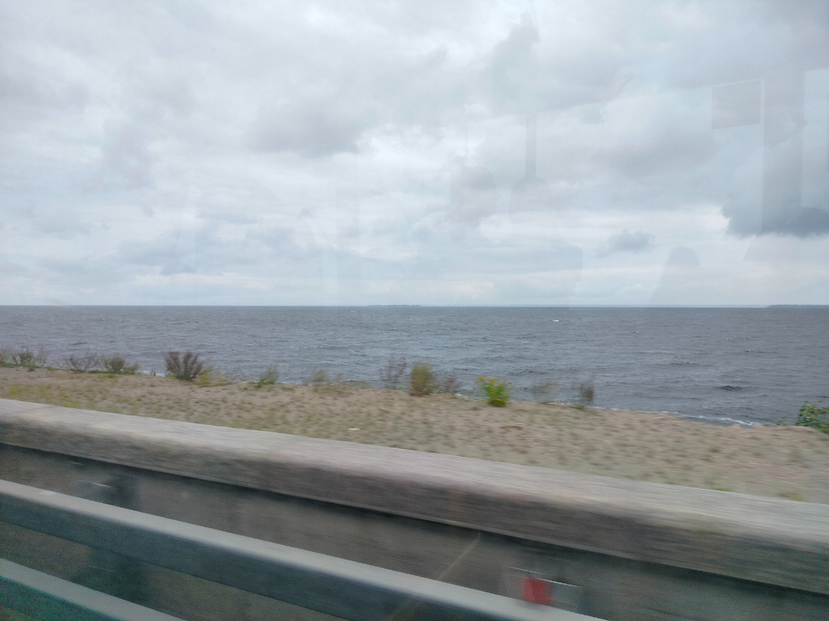 Финский залив