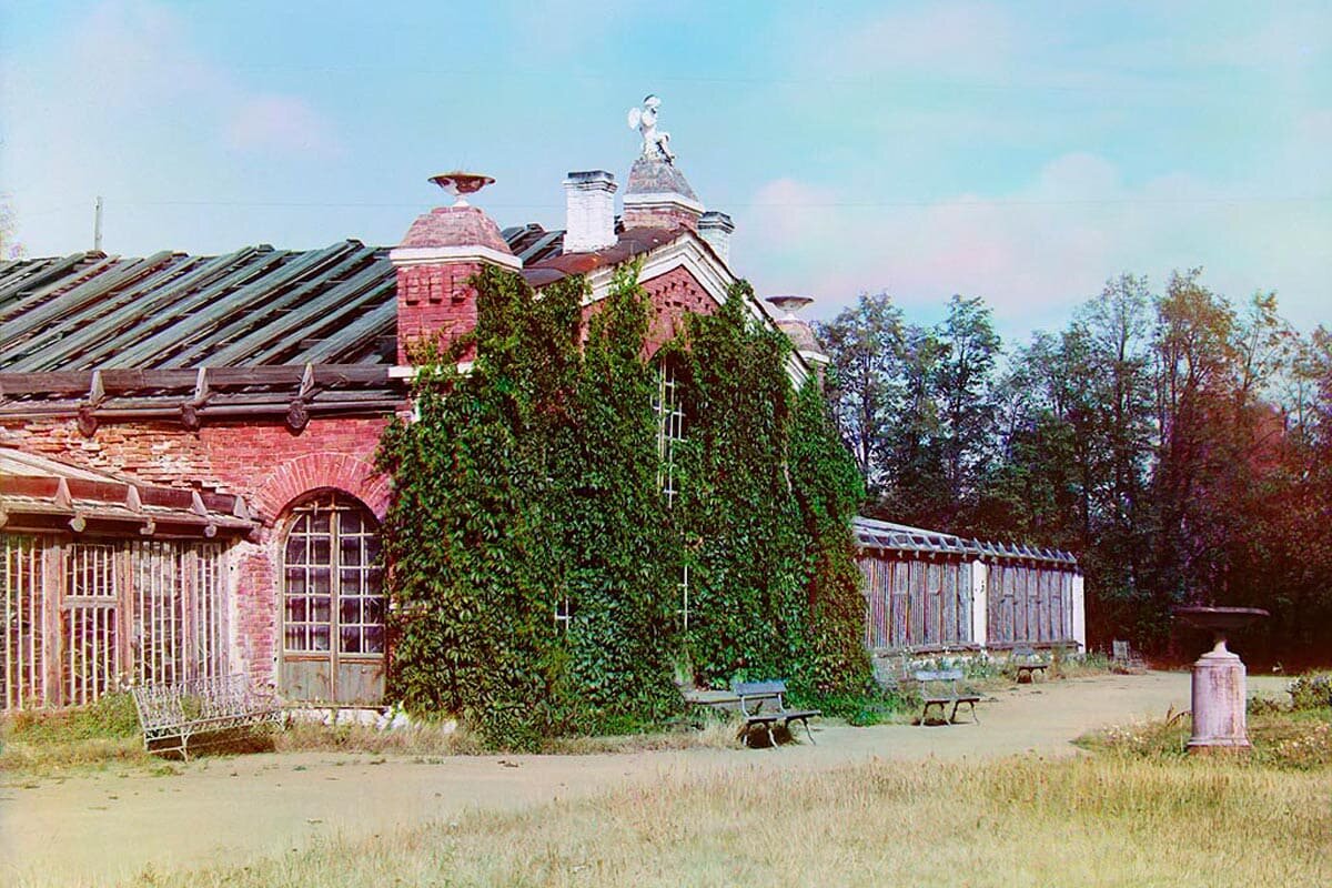 Оранжерея на Ближней Даче. Фото С. М. Прокудина-Горского, 1909 г. 