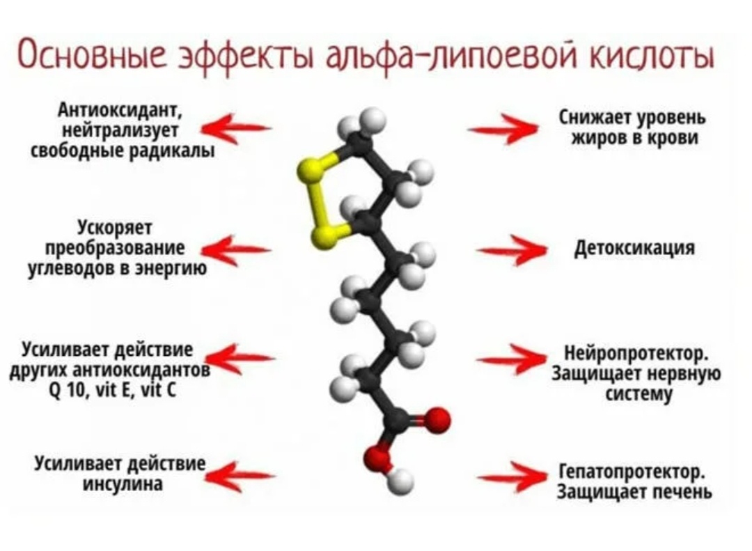 Фото из интернета