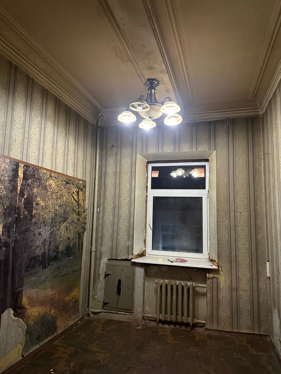 Комната для выращивания растений: стеллажи с горшками, специальное освещение, зелёный оазис в арендованной квартире, создающий уют и свежесть интерьера.