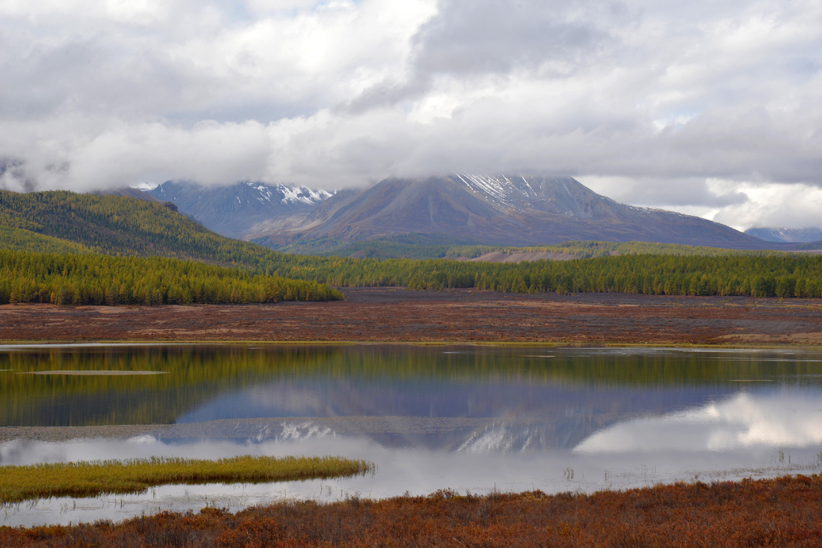 Фото Ольга Шадрина