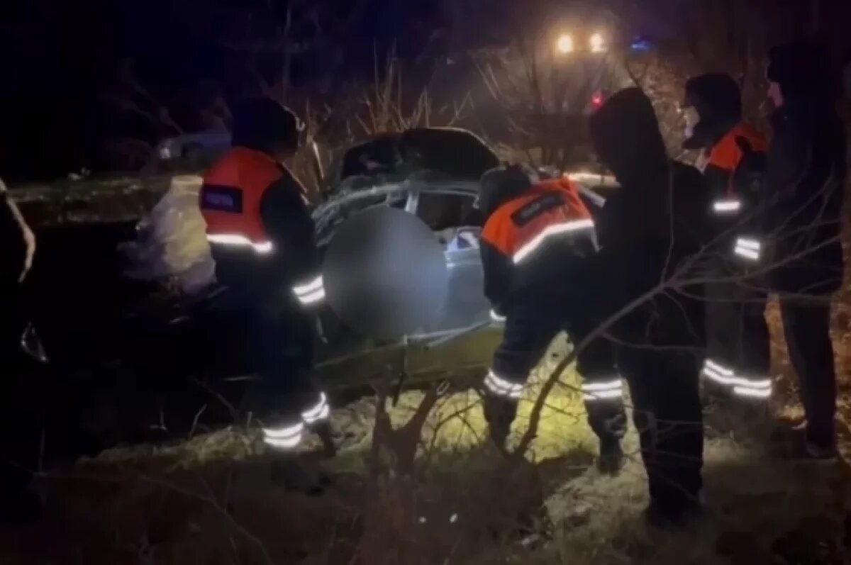    На Кубани врезавшись в дерево, погиб житель Ростовской области