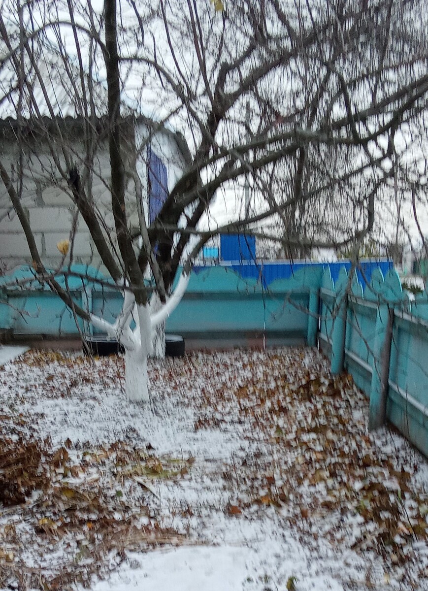 Сегодня даже немного снежком припорошило. Фото делала без штатива, немного размыто, но так даже атмосфернее.