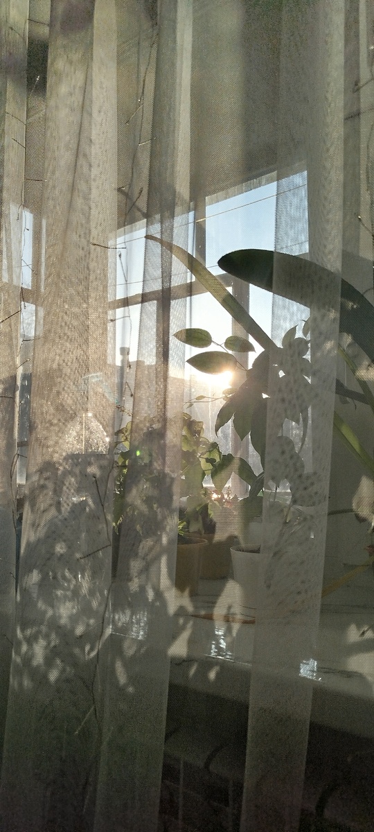 Морозное декабрьское утро без снега