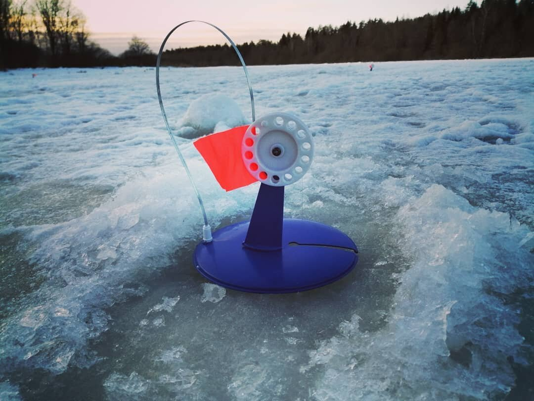 Фото с сайта: https://avatars.dzeninfra.ru