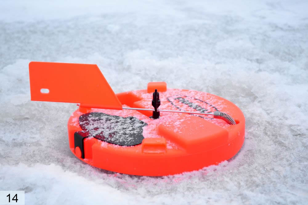 Фото с сайта: https://sfish.ru/uploads/_pages/1534/5-14-dsc_0173.jpg