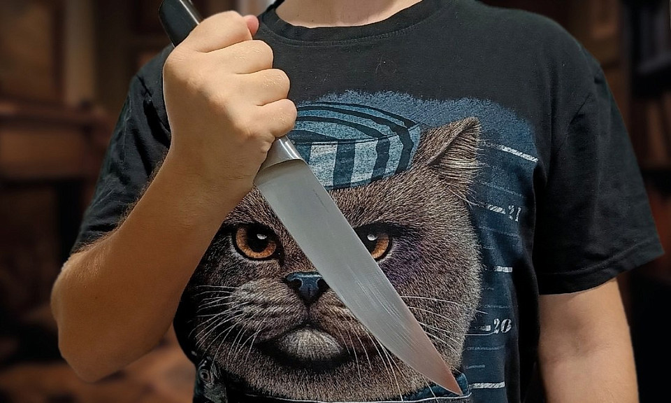 Фото: Дарья Черникова, "Горсайт"