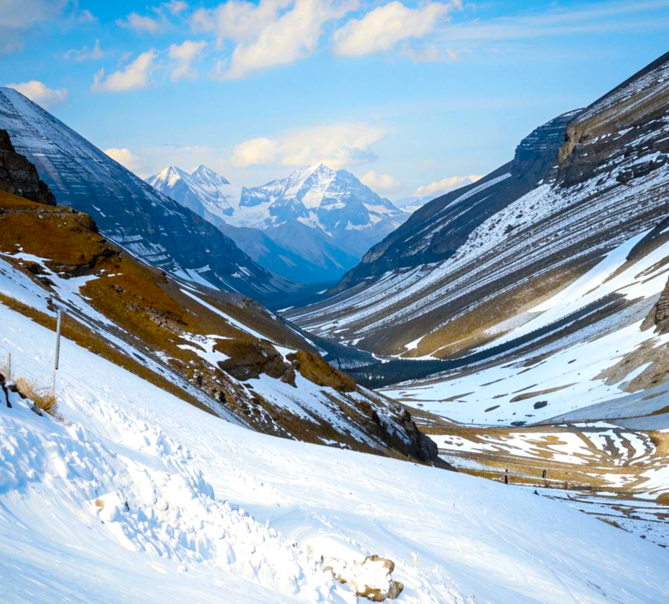 Изображение создано нейросетью Kandinsky 2.2, правообладатель ПАО СберБанк©