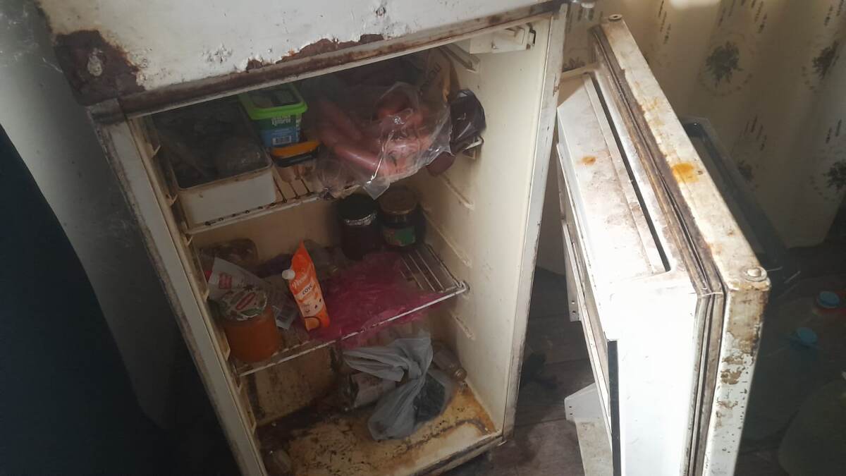 Сегодняшний быт Игорька.