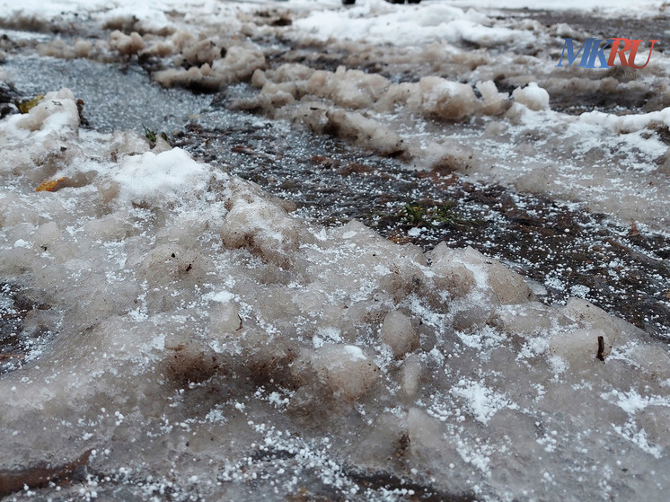     Фото: "МК в Калуге"