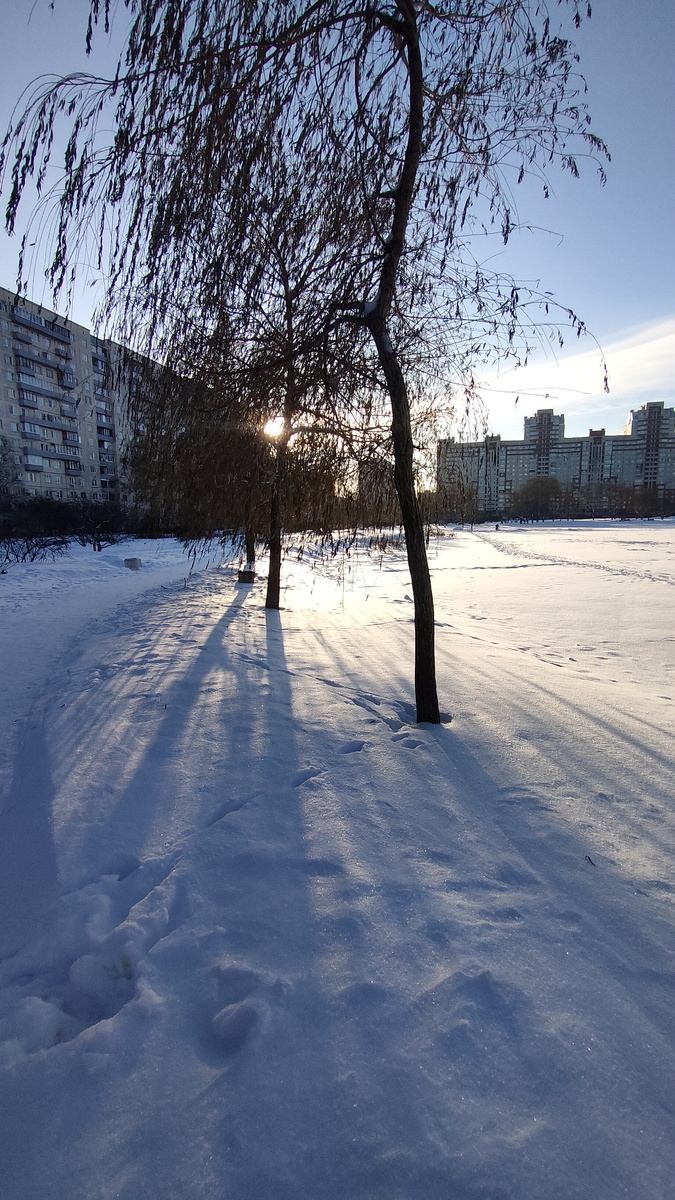 Фото автора. Так хочется снежную зиму!!!!