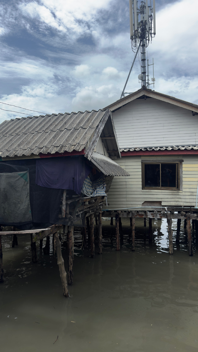 дома на сваях 