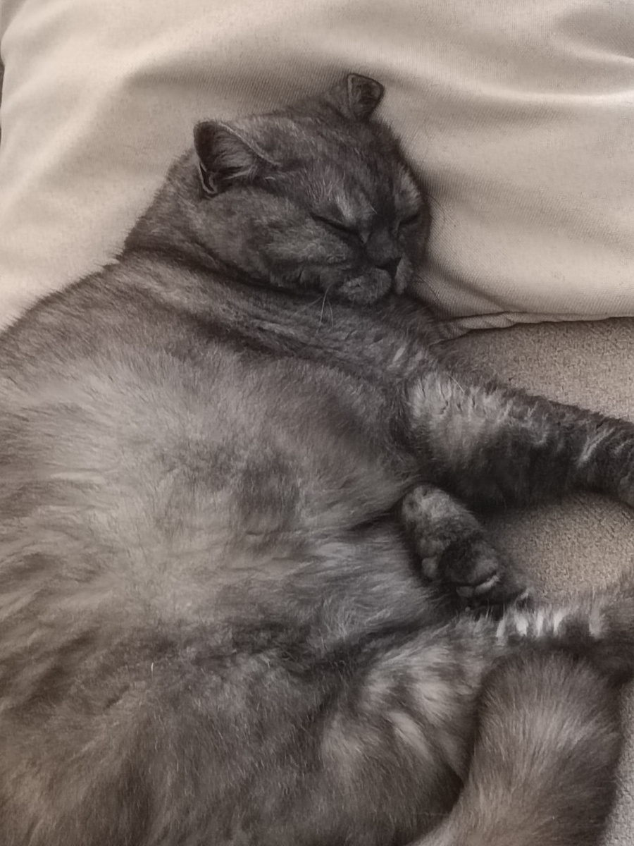 Не подозревает ещё о моих планах на неё 🤩