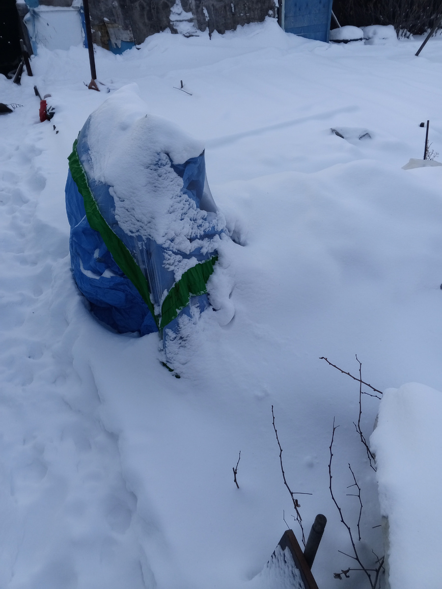 Снег. Малина под палаткой