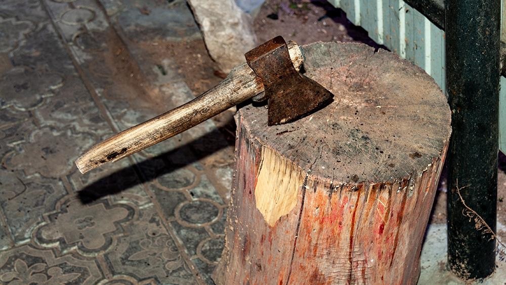 Фото: Svetlana Vozmilova/Global Look Press