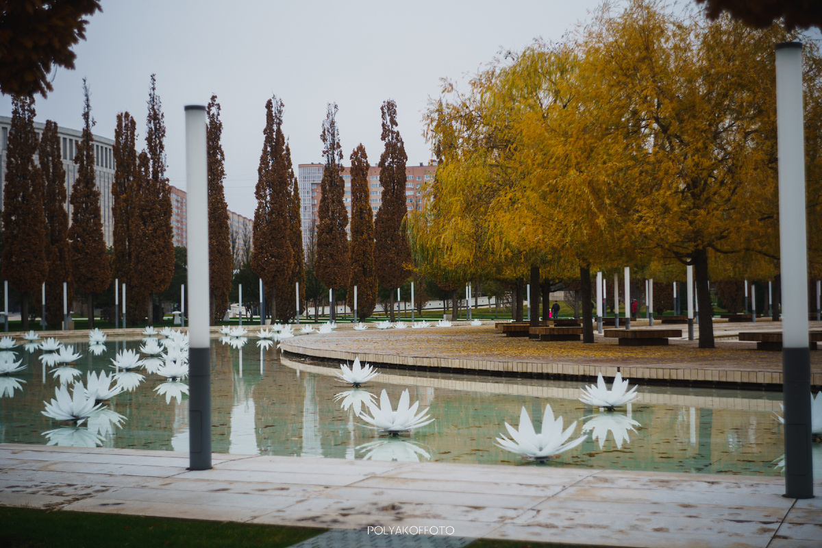 Парк Галицкого Краснодар