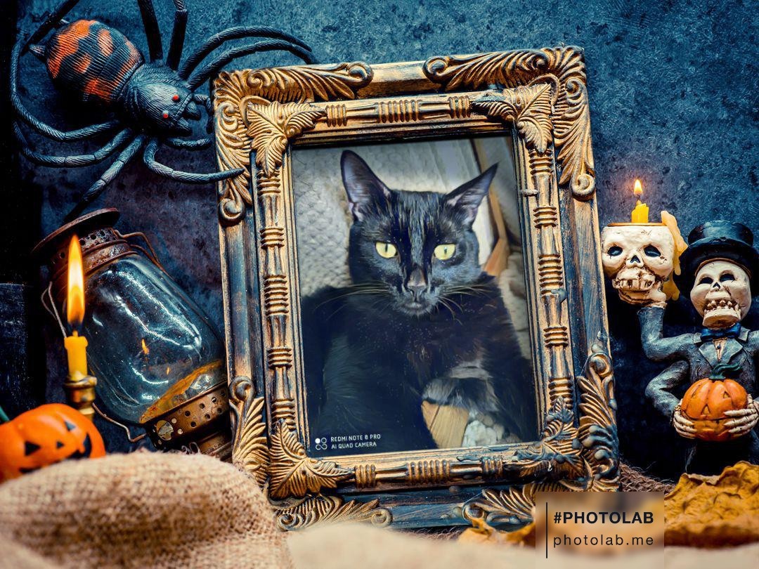 Фотоколлаж автора статьи 