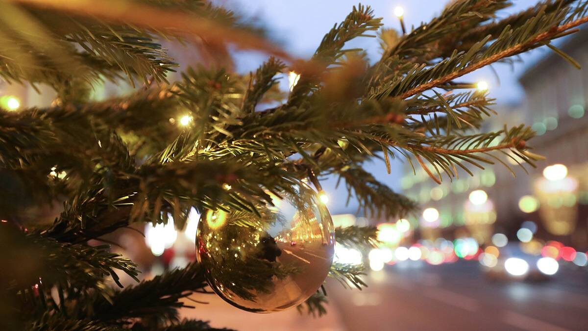    Фото: Артур Новосильцев / АГН Москва