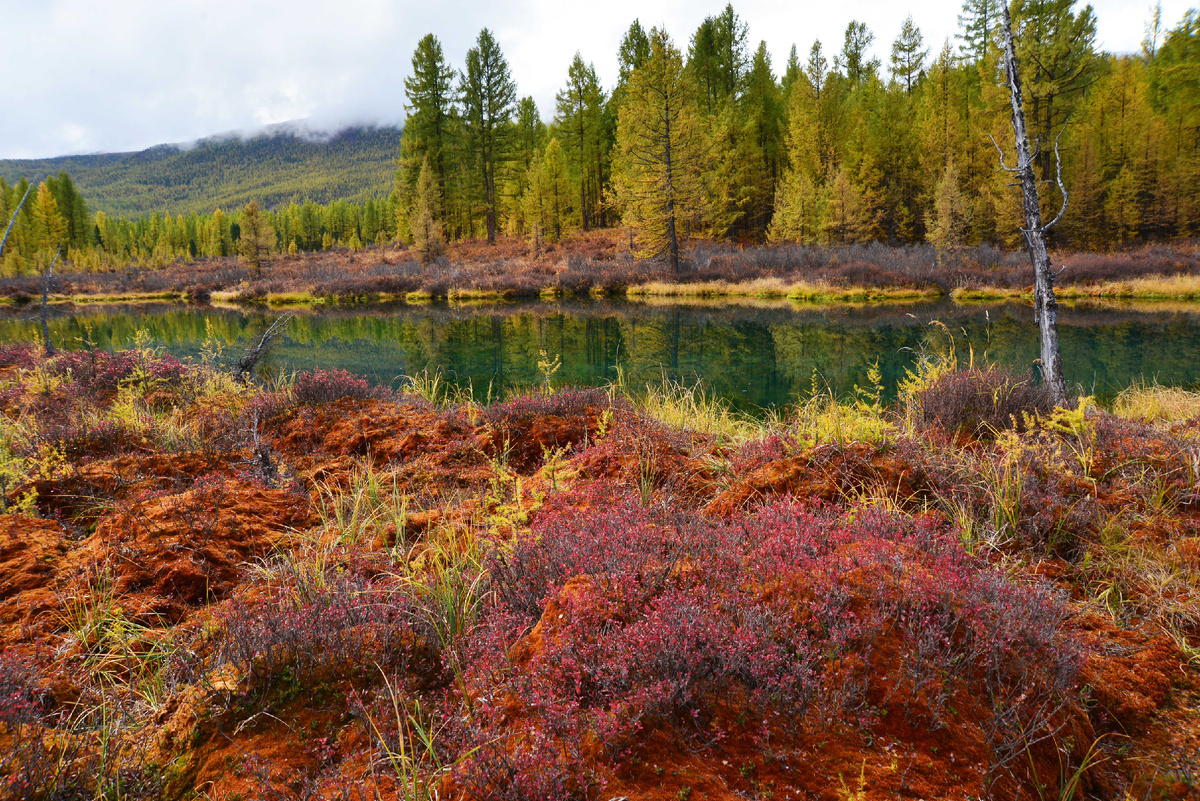 Озеро Левное. Фото Ольга Шадрина