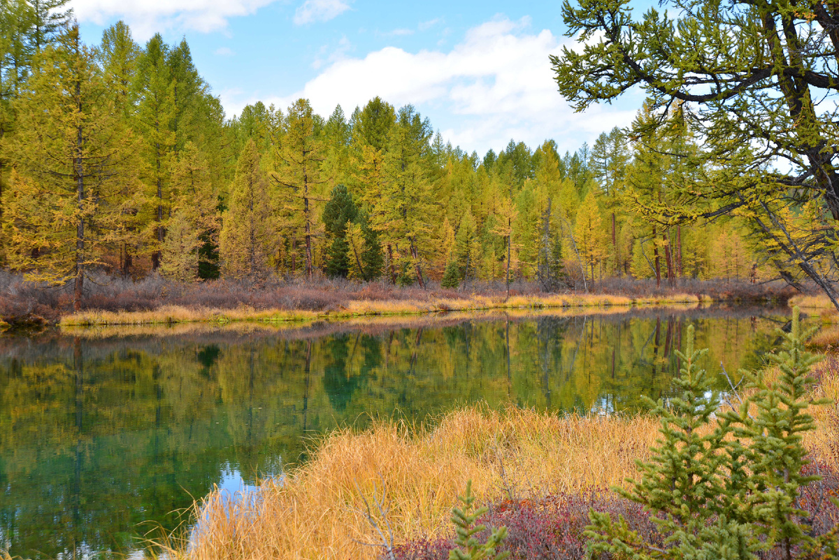 Фото Ольга Шадрина