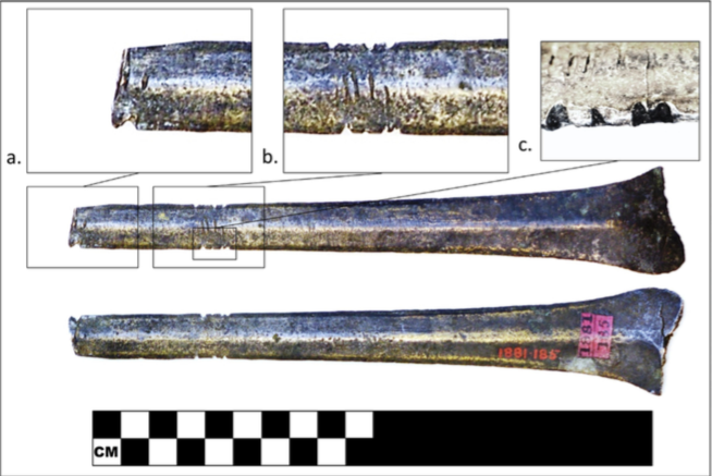 Поперечные зарубки на клинке, зарубки, перпендикулярные оси на лезвии рапиры, оружие сломано