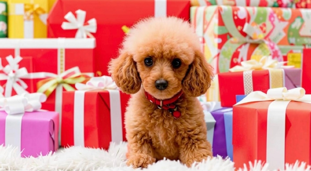 Картинка создана Нейросетью