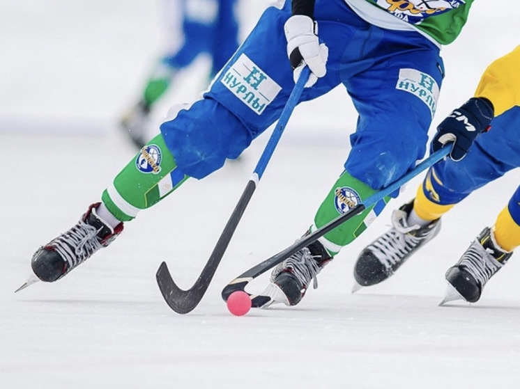     Фото: Федерация хоккея с мячом России