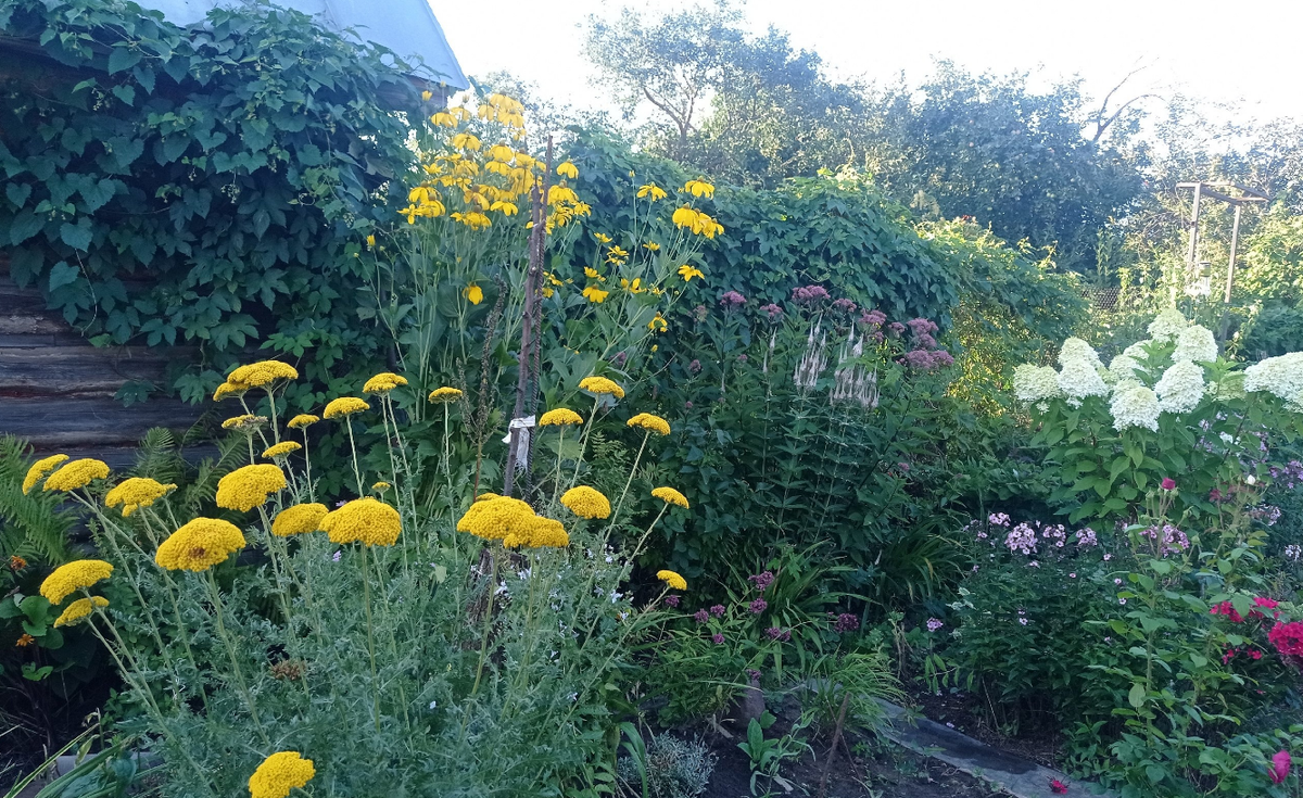 лето, деревенский уголок