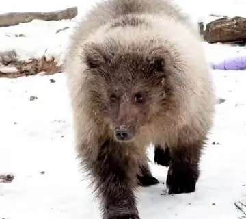 Маленькая Маша
