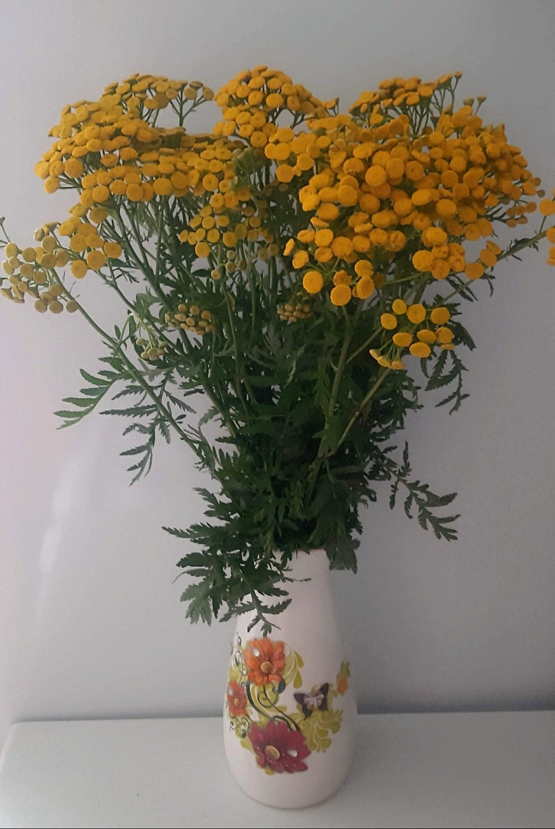 Букет пижмы