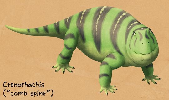 Ктенорахис 