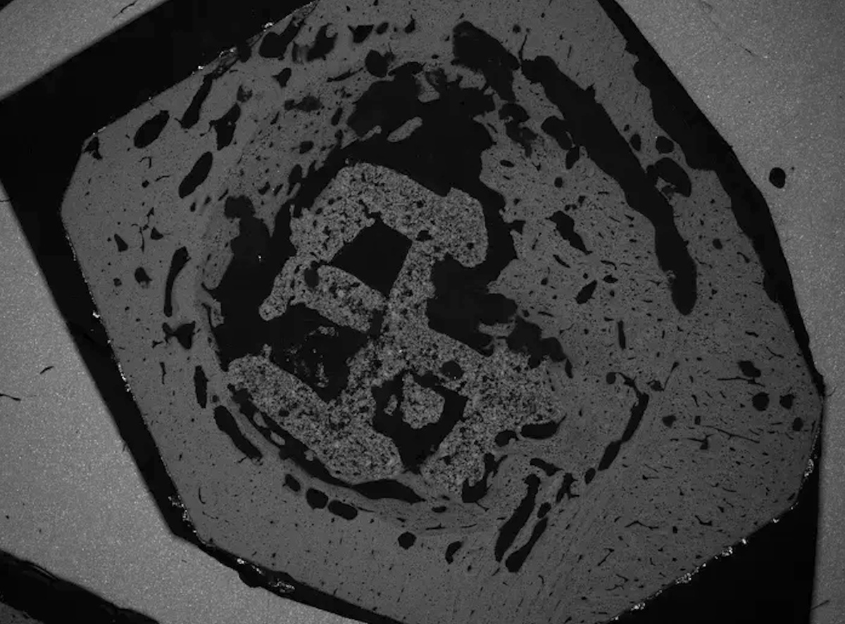 Этот похожий на коралл 3D-печатный материал для трансплантации был имплантирован в большеберцовые кости подопытных мышей. Фото: доктор Чжидао Ся