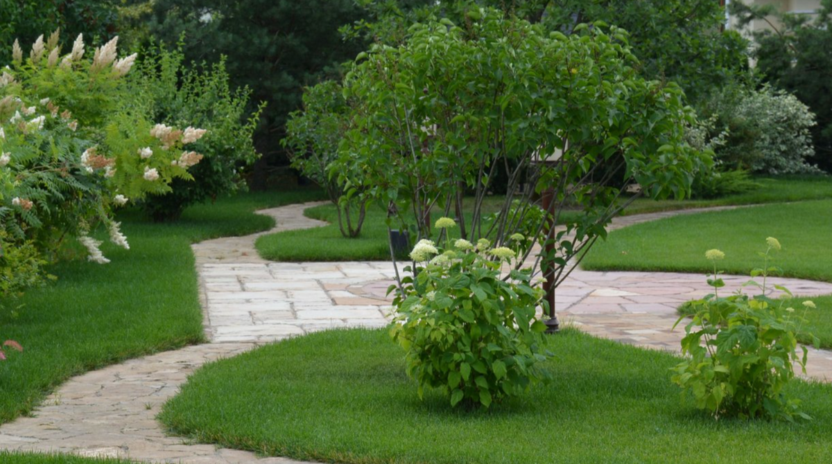 Проект компании "Агава-М" в Миллениум Парке