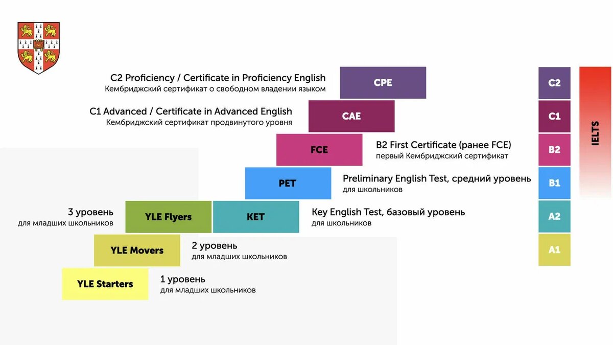 Международная уровневая система английского языка. Столбик справа - уровни, а столбик слева - названия экзаменов, которые дети могут сдавать для подтверждения своих успехов.