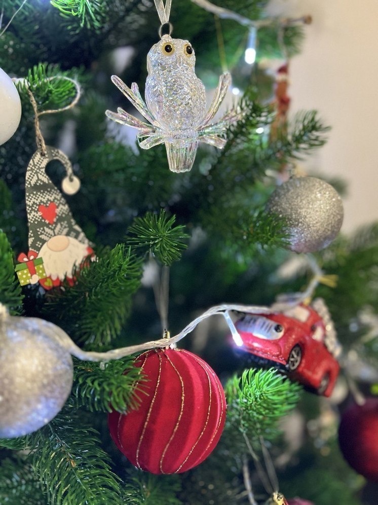     Фото: МК Ямал