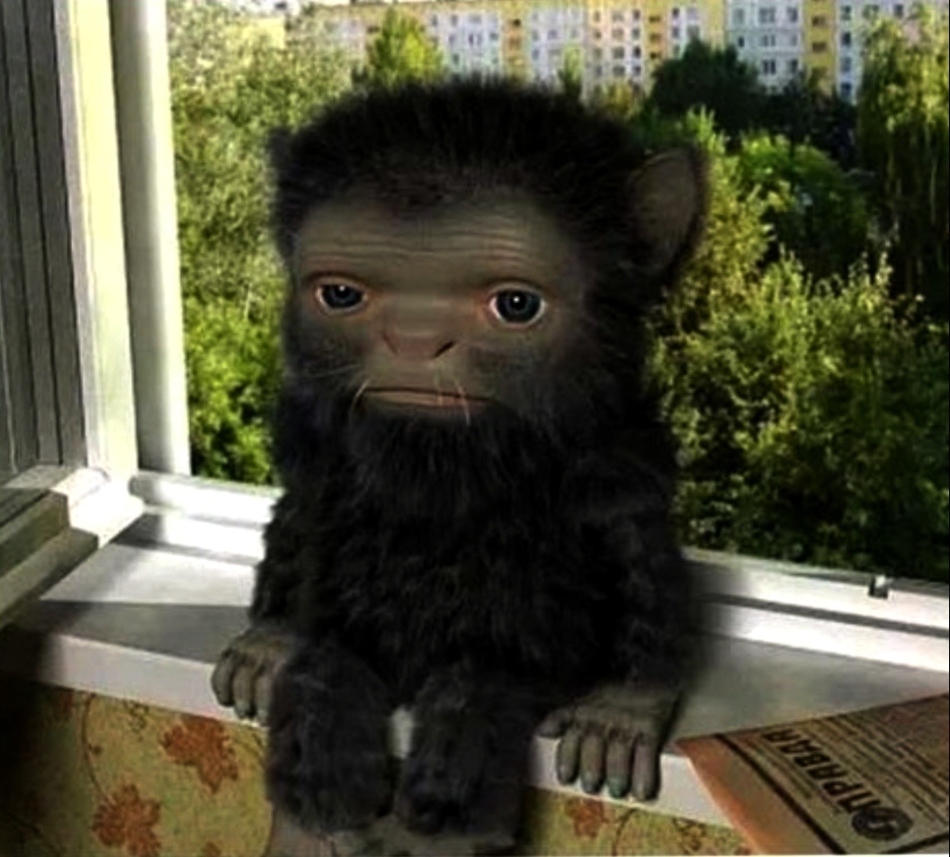 Фото из интернета