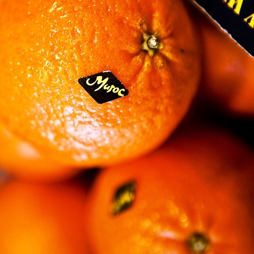 Красавцы, не правда ли?