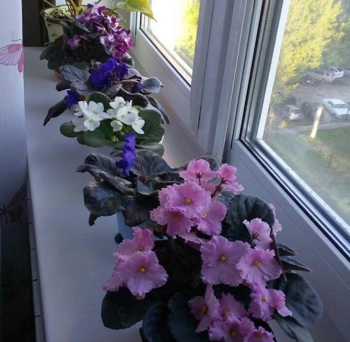 Это было три года назад