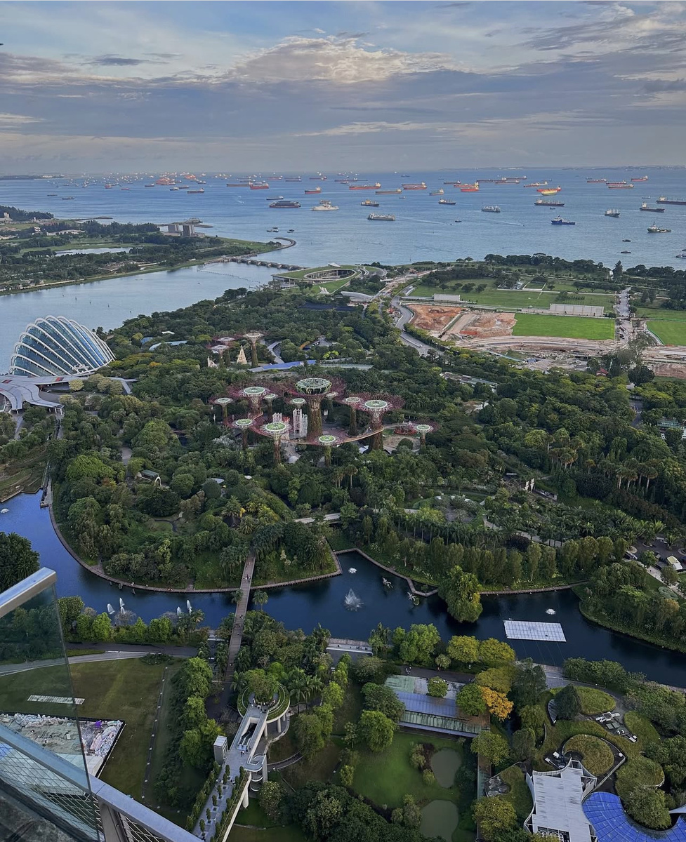 Вид из ресторана Lavo 😍