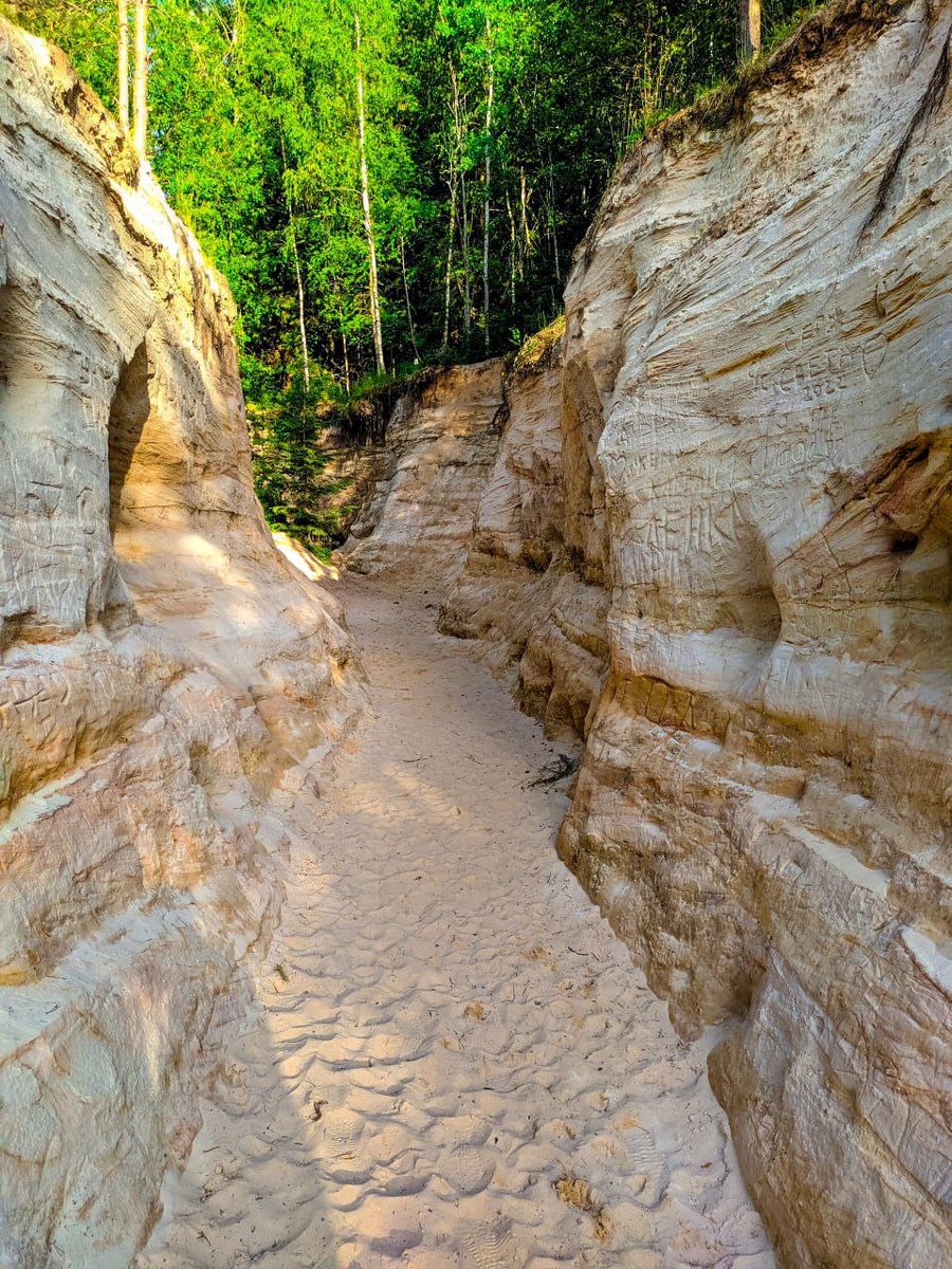 Ущелье каньона