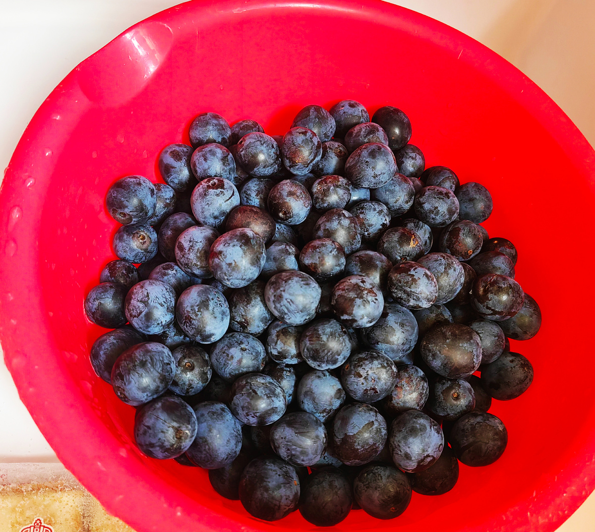 Фото из личного архива