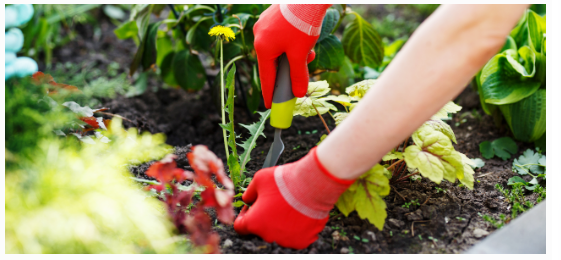 Работа в саду или в огороде не из легких