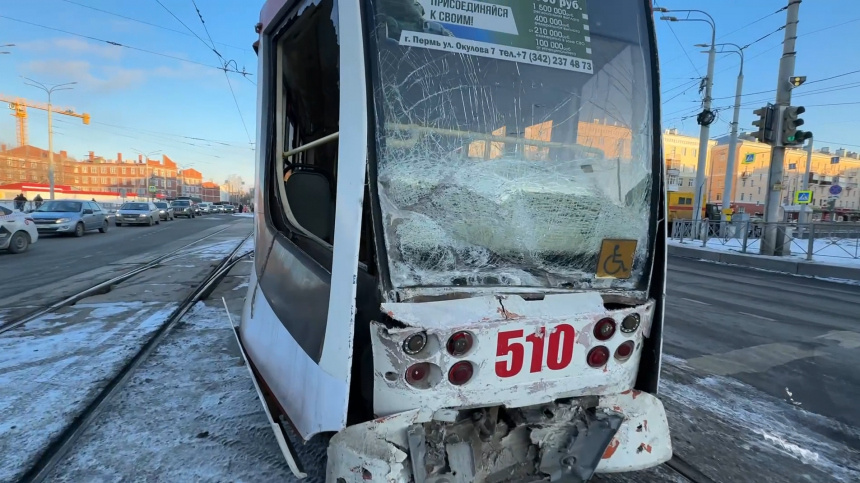    Фото: Telegram/МЧС России/mchs_official; 5-tv.ru