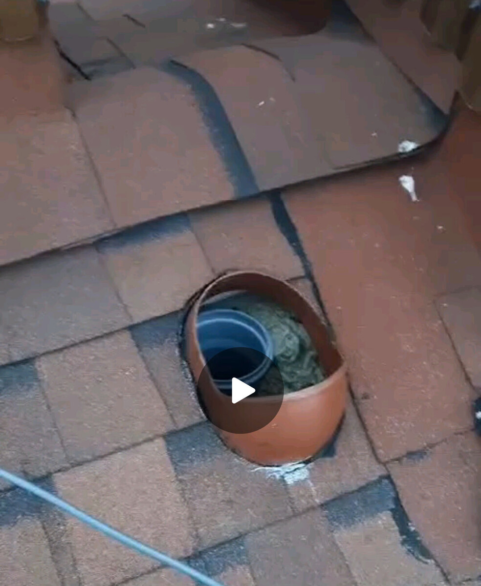 Скрин с видео от соседей