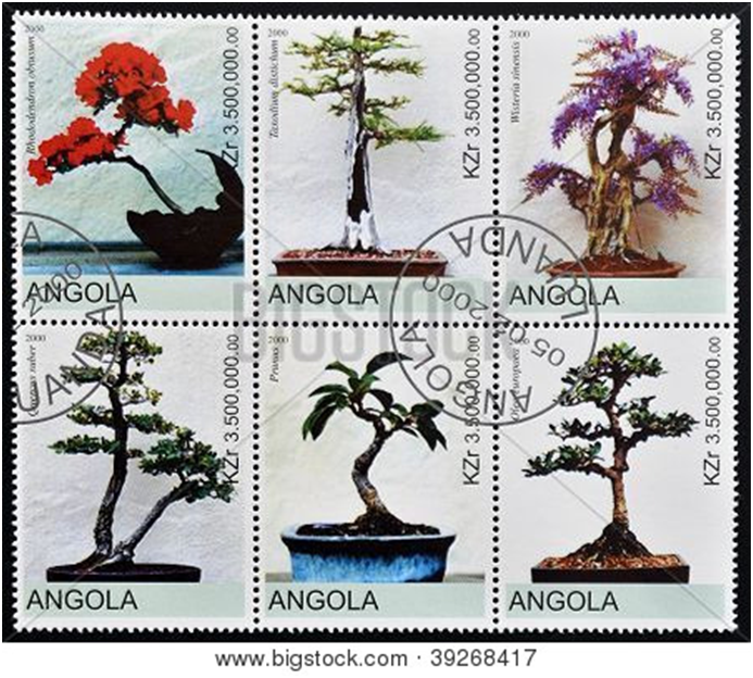 Источник: https://www.bigstockphoto.com/ru/image-39268417/stock-photo-Ангола-около-2000%3A-Коллекция-почтовых-марок-показывает-различные-бонсай-около-2000/