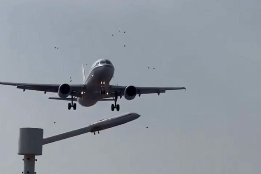    Кадр: Telegram-канал AviaNews