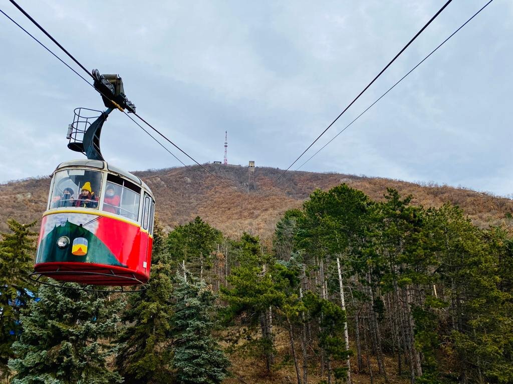 Фотография Светы Терещенко