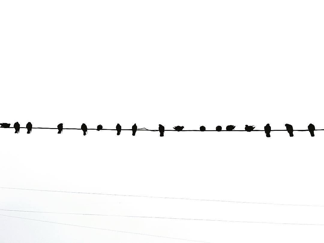 Фотографии Светы Терещенко