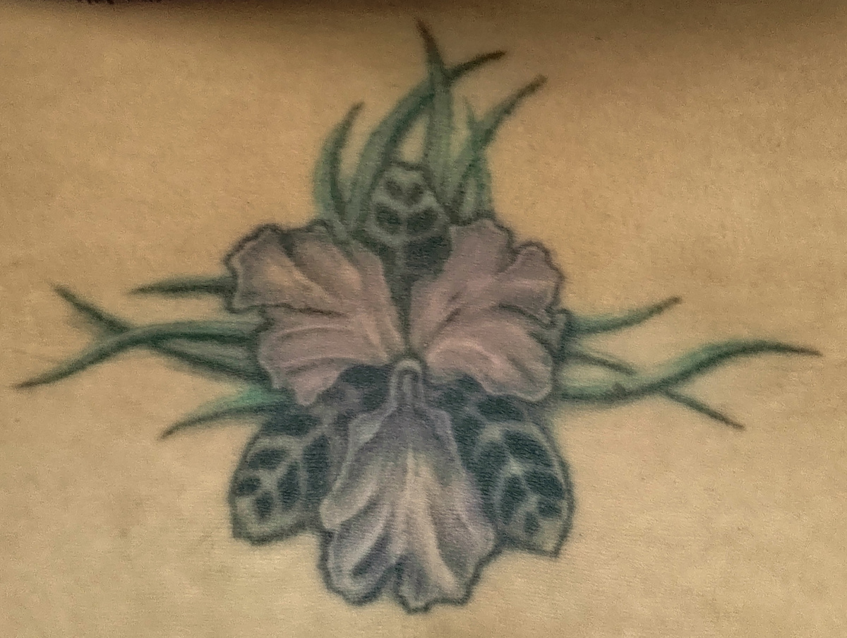 Орхидея- символ чистоты