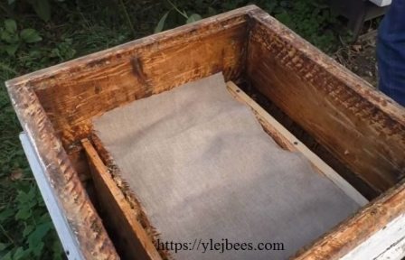 Холстик в улье - один из важнейших элементов ухода за пчелами